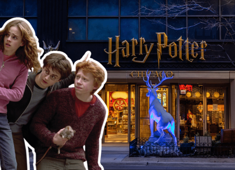 Harry Potter. Chicago