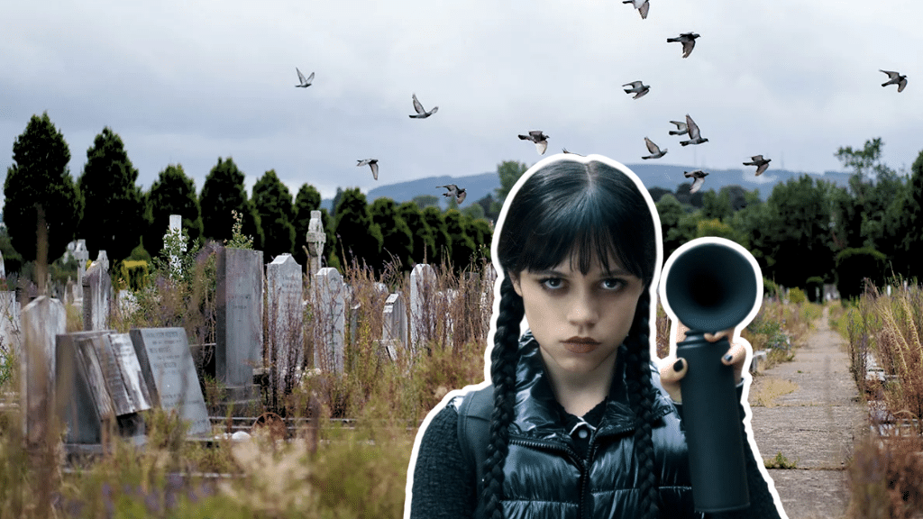Deansgrange Cemetery. Miércoles. Netlix